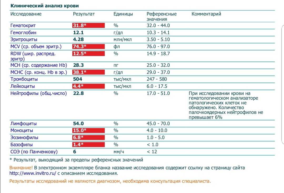 Эозинофилы: понятие, функции, нормы в крови, когда бывают повышены и понижены