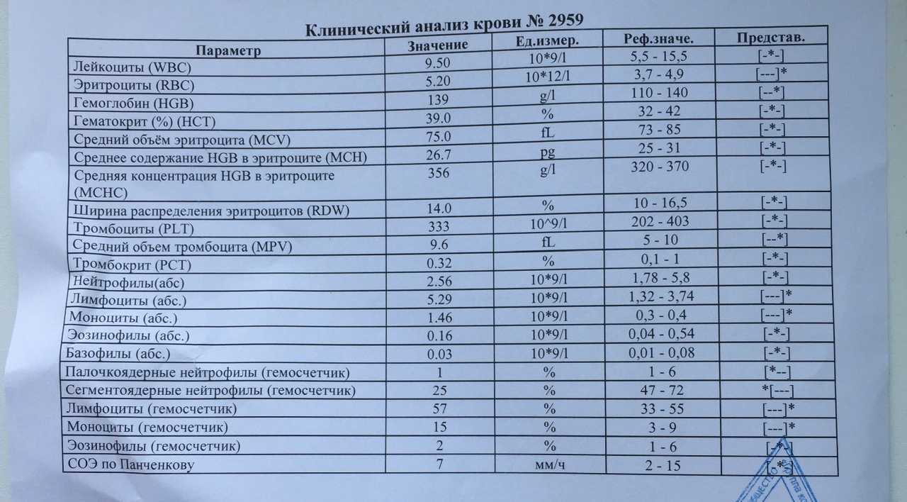 Моноциты выше нормы. в чем причина? * клиника диана в санкт-петербурге