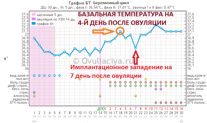 Ановуляция – нарушения овуляции