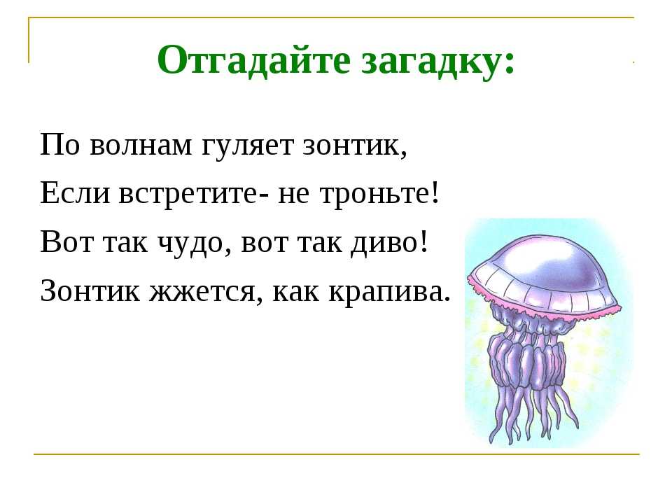 Загадки по химии для школьников