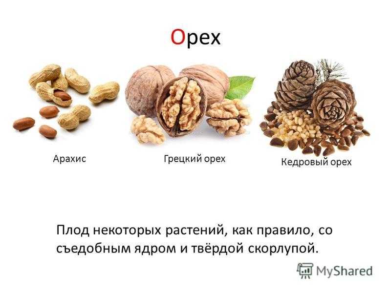 Можно грецкие орехи кормящей. Железо в грецких орехах. Что содержится в грецких орехах. Грецкий орех витамины. В грецких орехах есть железо.