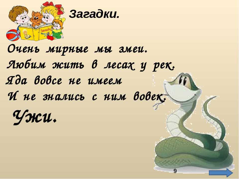 Предложение со словом уж. Загадки о змеях. Стих про змею. Змея стихи для детей. Стих о змее.