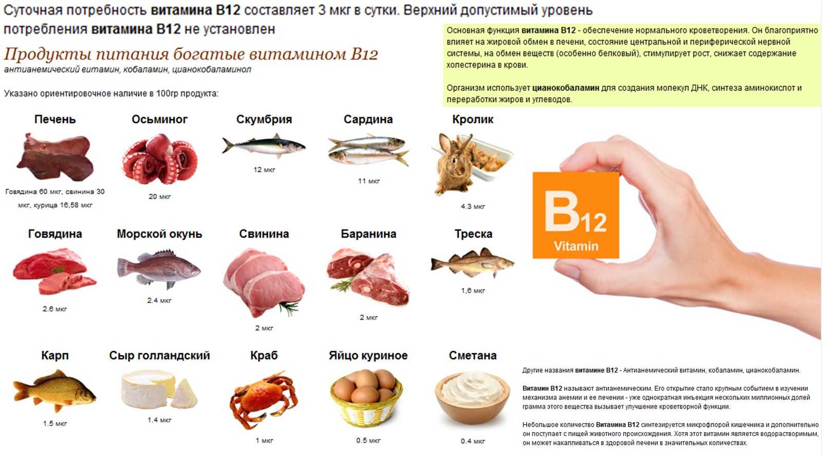 Где искать витамины группы в? в продуктах питания!
