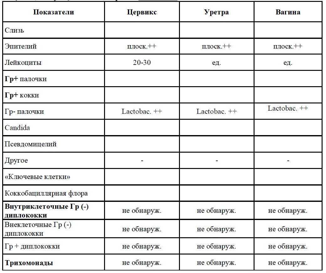 Расшифровка цитологии: интерпретация данных по результатам цитологического анализа | университетская клиника