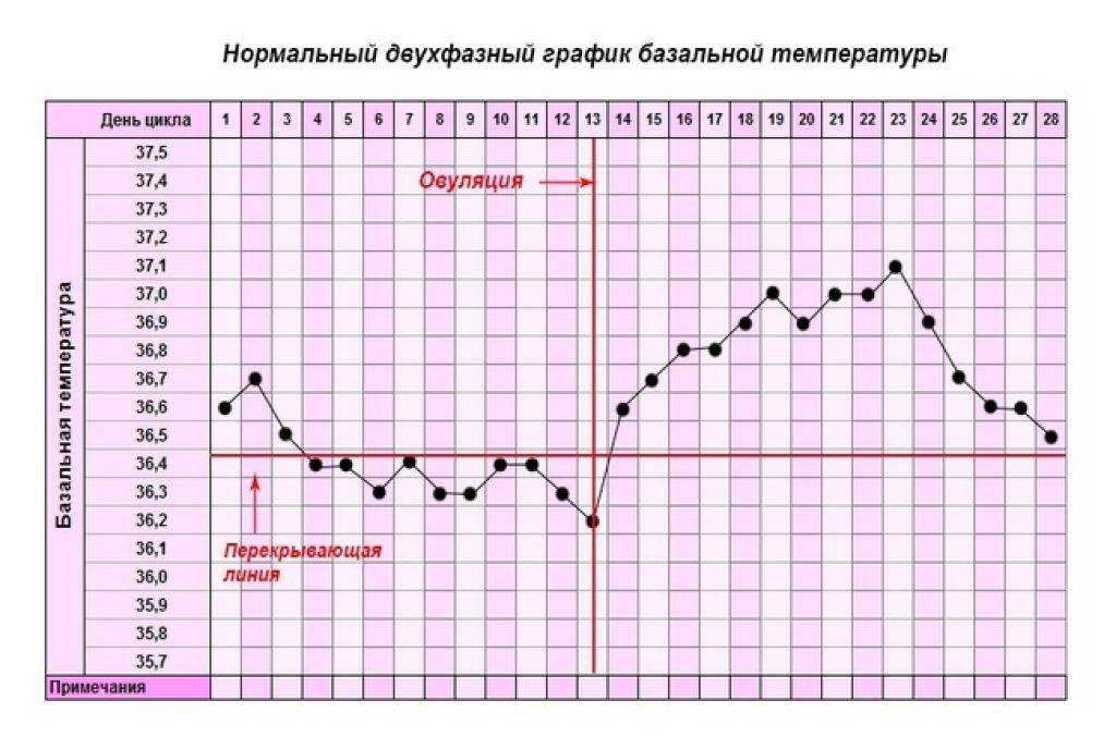 Измерение базальной температуры (бт). правила. расшифровка графиков базальной температуры - симптомы и лечение. журнал медикал