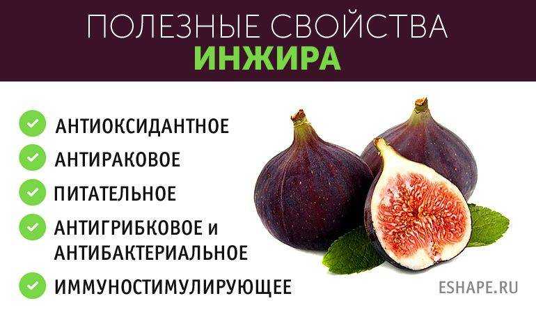 Инжир при грудном вскармливании: можно ли кормящей маме?