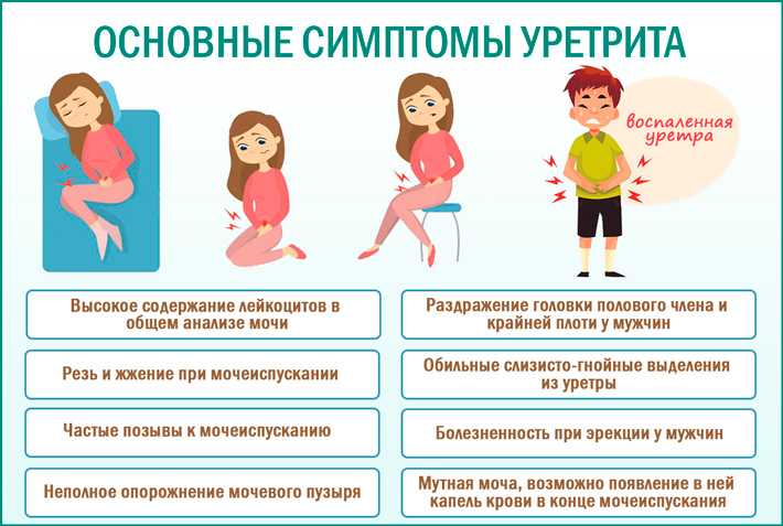 Как быстро высушить обувь после стирки или если вы промочили ноги: полезные советы и рекомендации, правила и запреты при сушке