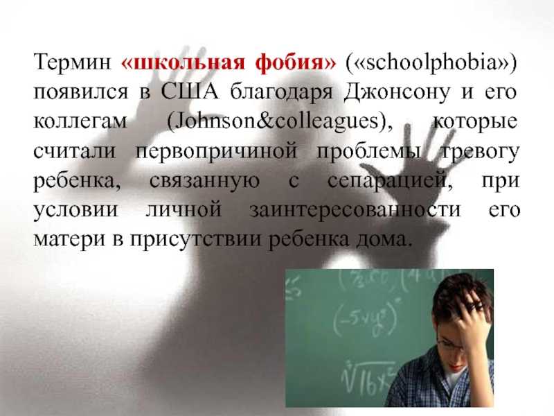 Как избавиться от арахнофобии? или как преодолеть страх к паукам