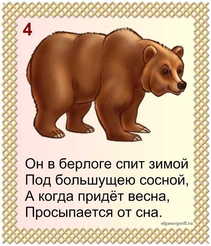 Стихи про диких. Загадка про медведя для детей. Загадка про медведя. Загадка про мишку. Стих про медведя для детей.