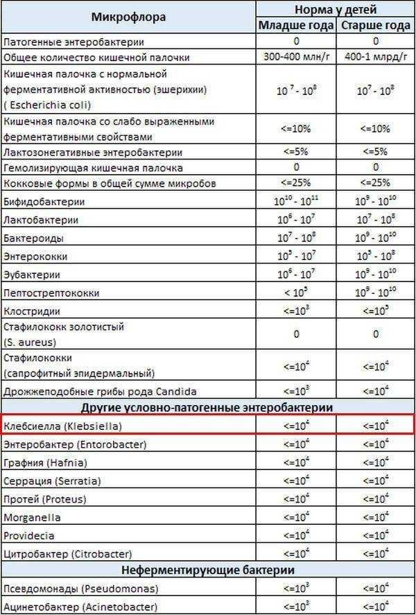 Дисбактериоз кишечника: вопросы и ответы