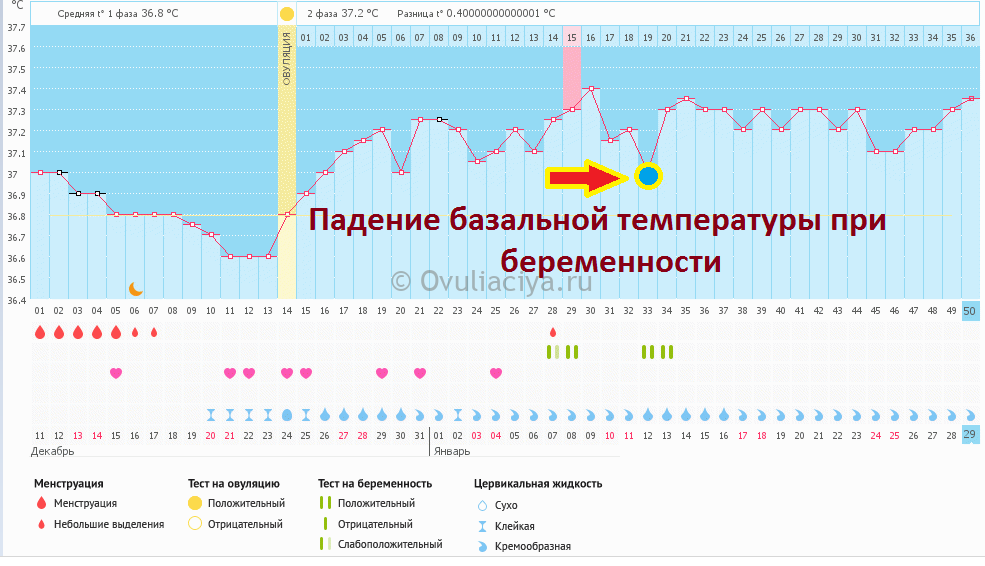 Осложнения беременности: гестоз, токсикоз, внематочная беременность, выкидыш и пр.