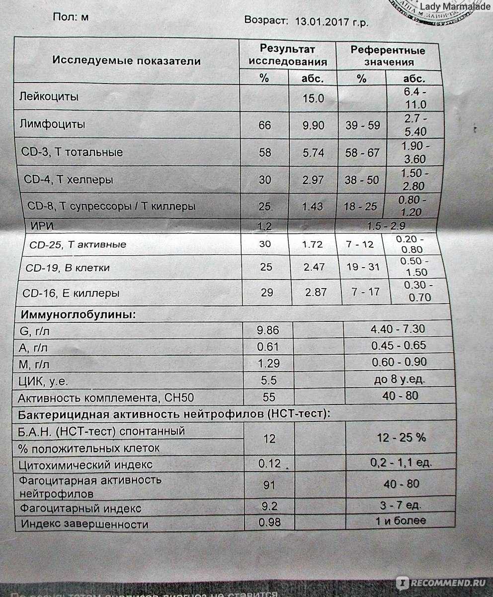 Иммунограмма: расшифровка, что показывает, норма, таблица с результатами | азбука здоровья