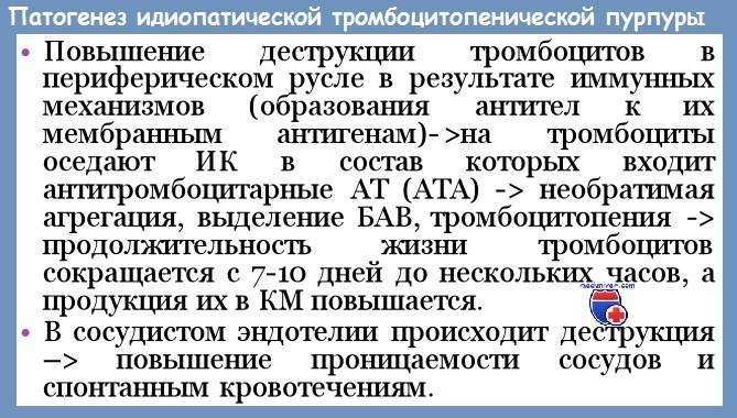 Тромбоцитопеническая пурпура у детей - симптомы болезни, профилактика и лечение тромбоцитопенической пурпуры у детей, причины заболевания и его диагностика на eurolab