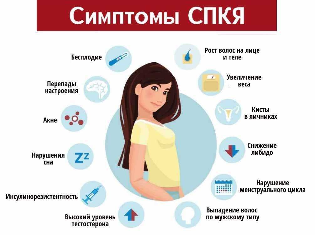 Что такое поликистоз яичников или спкя: симтомы, причины и лечение