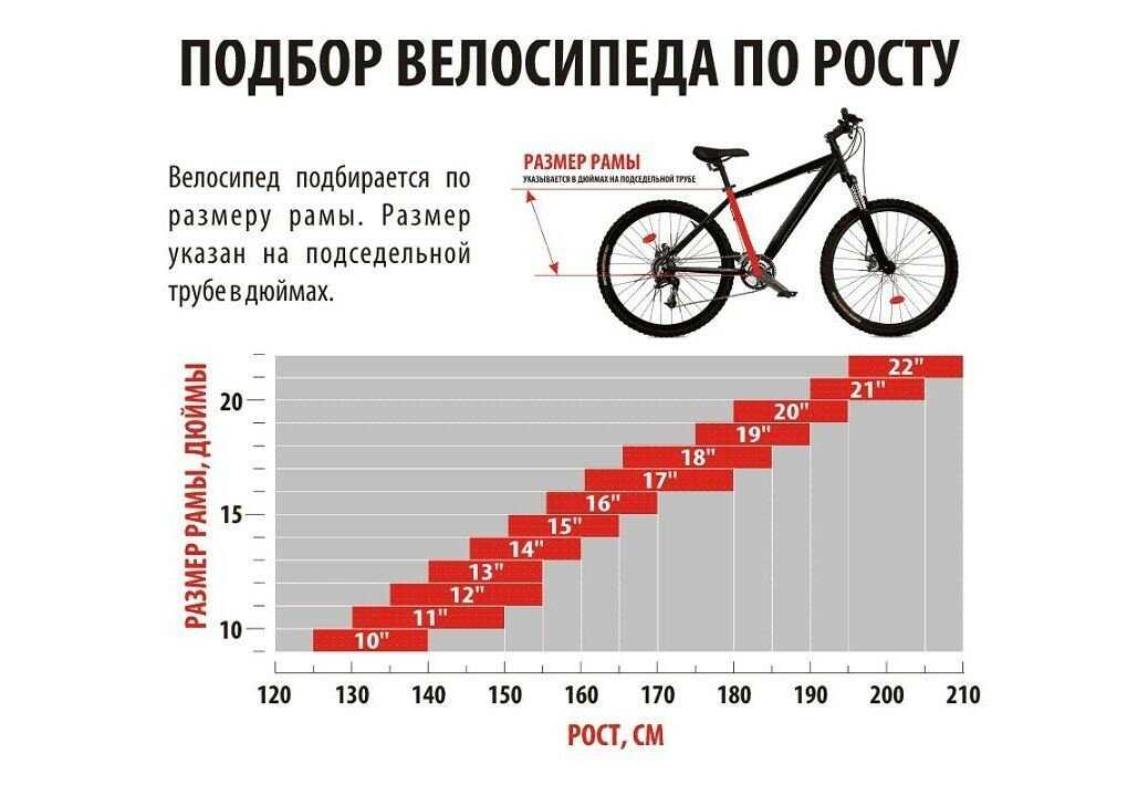 Как выбрать велосипед для ребенка