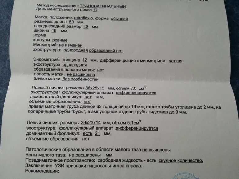 Как и для чего делают узи фолликулометрию женщинам?