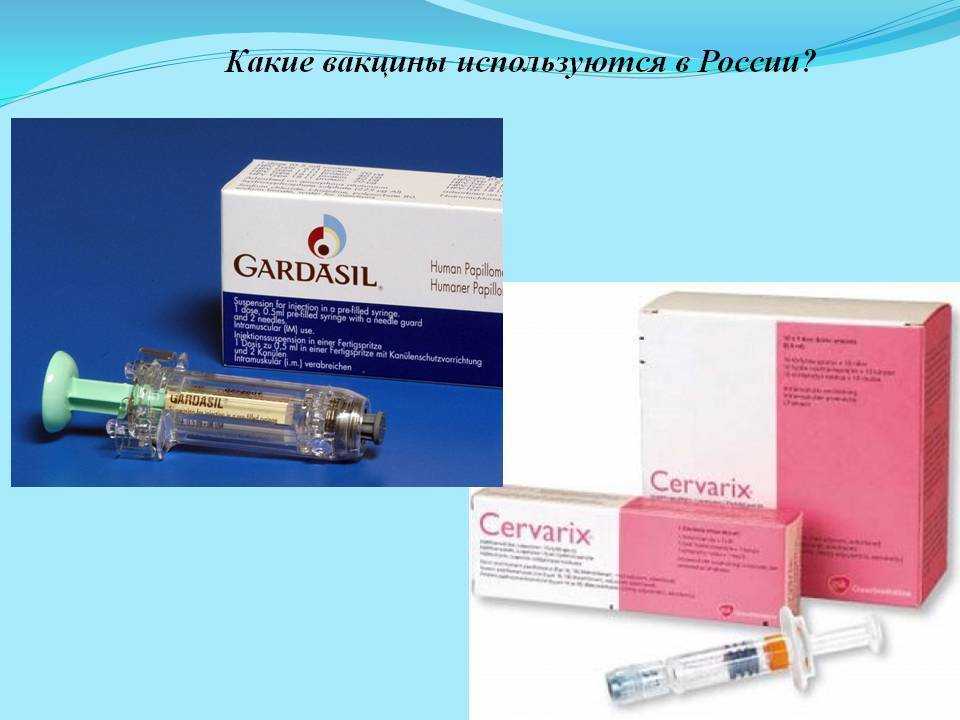Факты и мифы