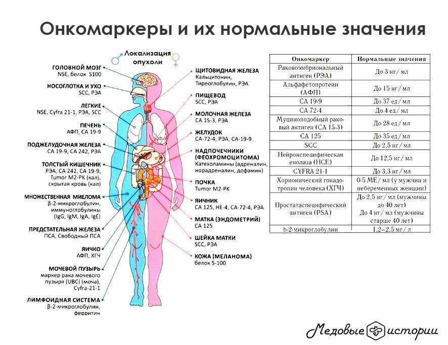 Онкомаркеры для женщин: нормы самых женских онкологий | center-openheart.ru