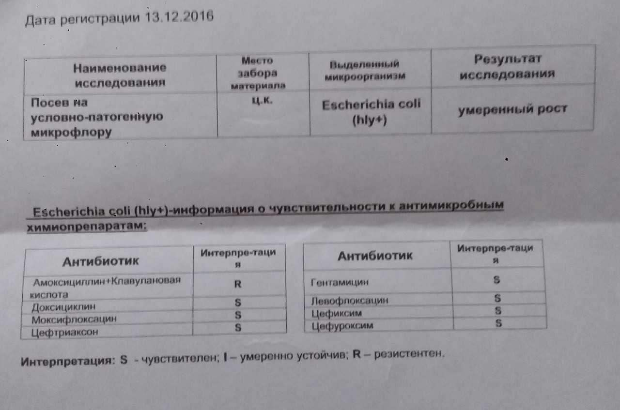 Соэ при онкологии: повышается ли показатель, анализ крови на соэ при раке у мужчин и женщин | клиники «евроонко»