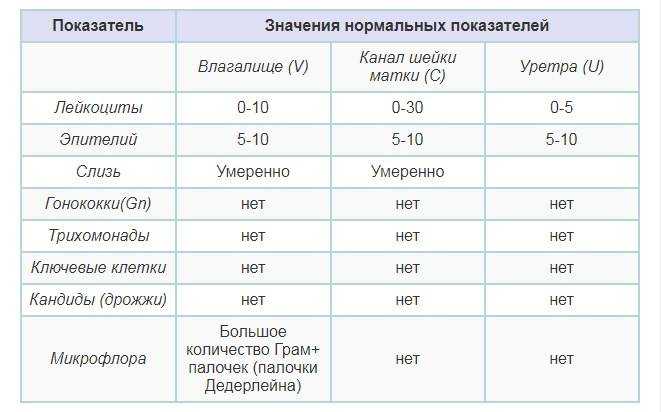 Мазок на флору у женщин: таблица норм и расшифровка результатов | merilin-clinic.ru