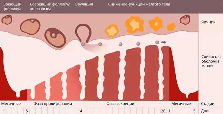 Нарушения менструального цикла