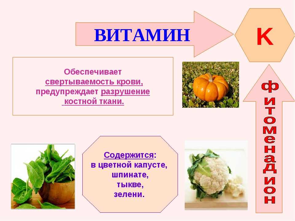 Основные источники витаминов рисунок