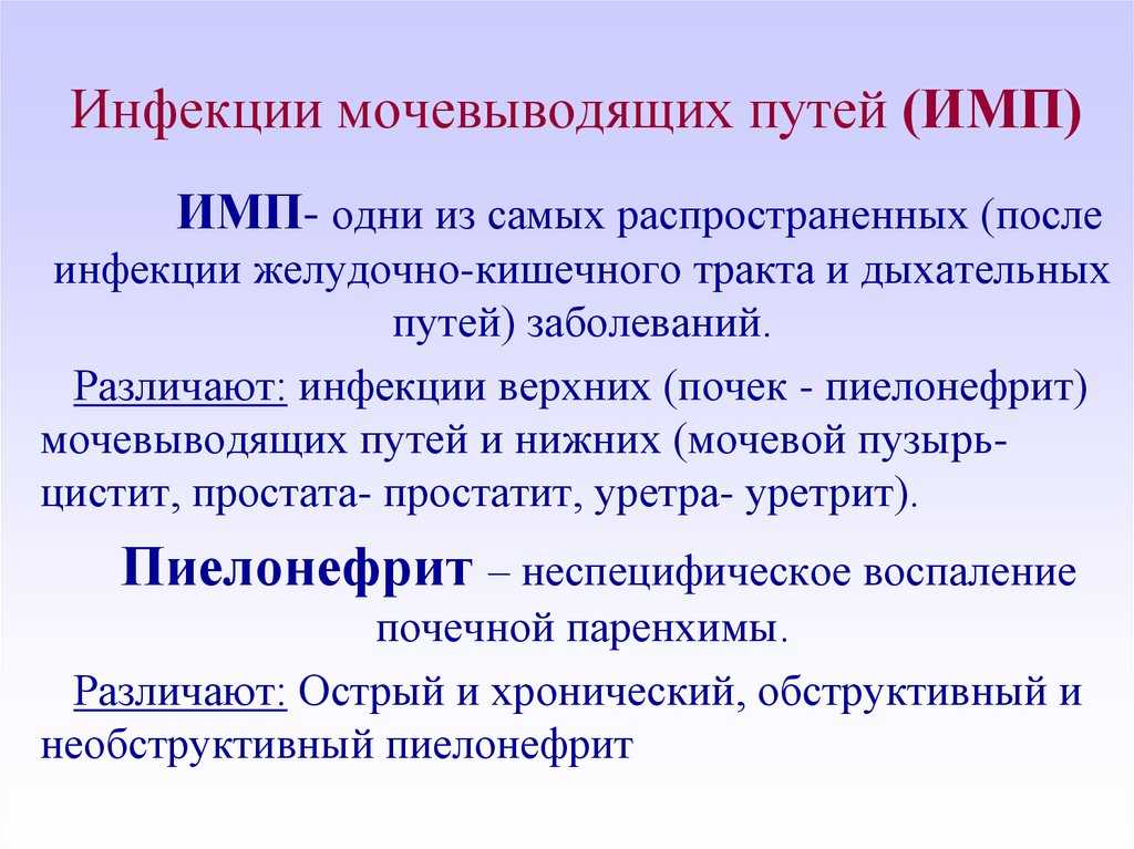 Эритроциты в моче: расшифрвка у взрослых и при беременности