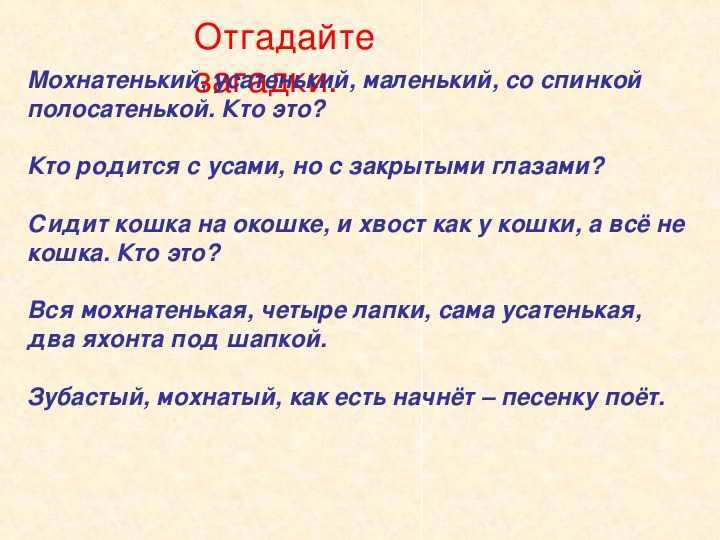 Загадки про школьные принадлежности