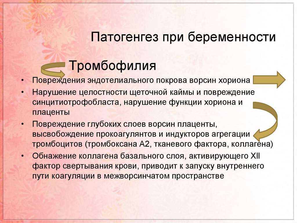 Причины развития густой крови при беременности и эффективные методы лечения