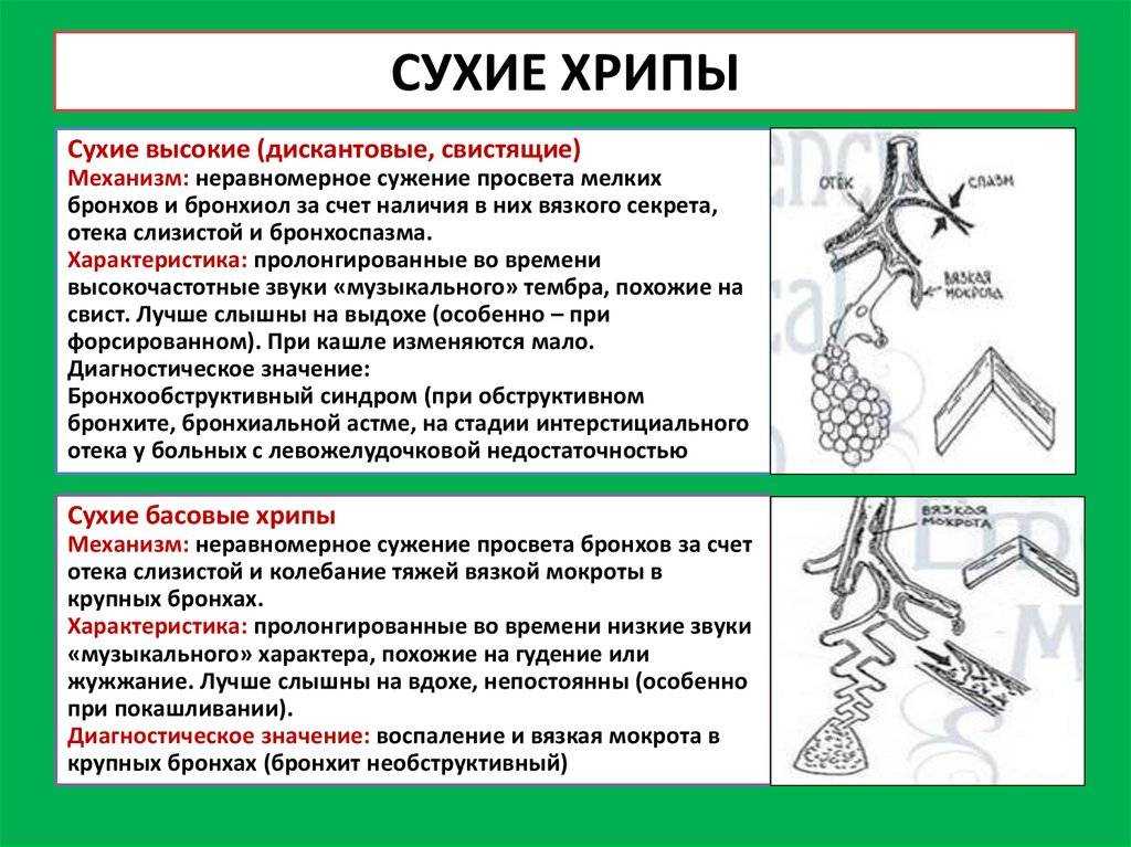Причины тяжёлого дыхания у ребёнка, дополнительные признаки при различных заболеваниях и неотложных состояниях Инструкция для родителей по оказанию первой помощи