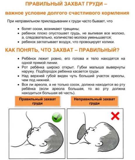 Сколько держать грудничка столбиком после кормления - детская городская поликлиника №1 г. магнитогорска