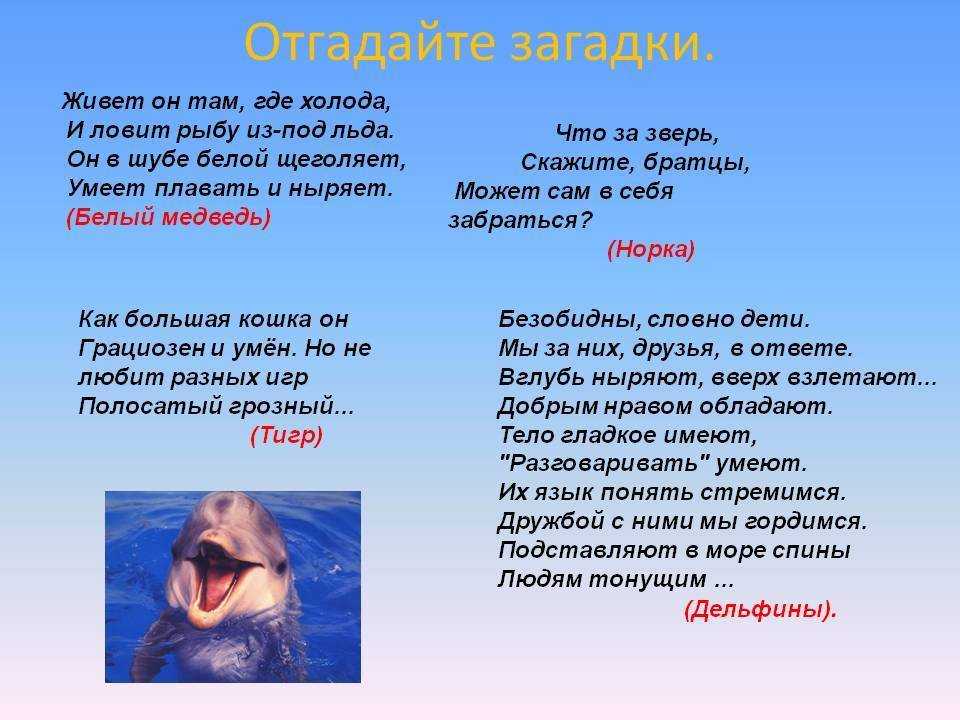 Загадки о диких животных для детей 6-7 лет с ответами