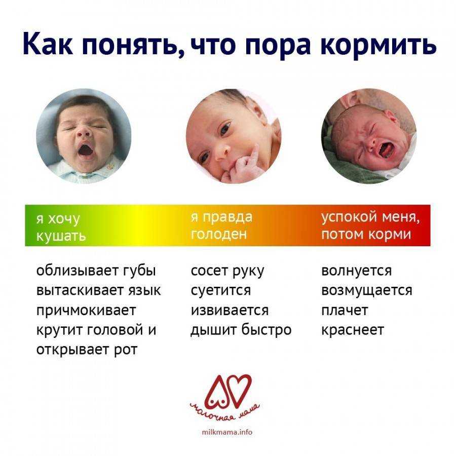 Наедается ли ваш ребенок грудным молоком?
