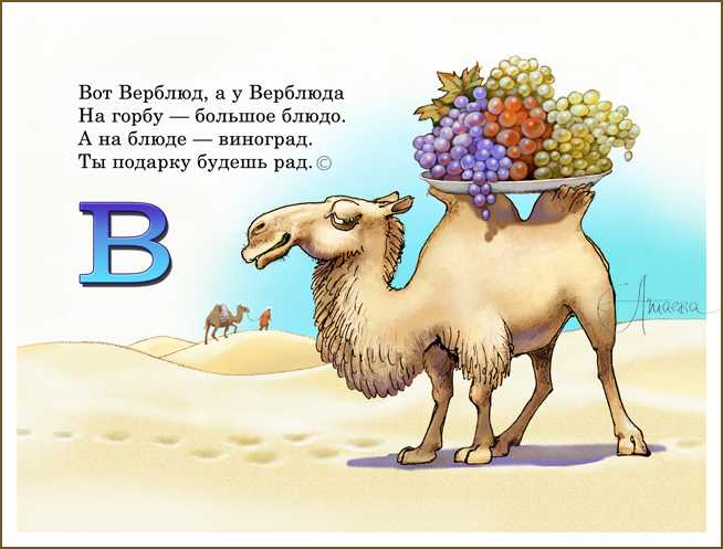Олень и ягуар | детям о животных | некоммерческий учебно-познавательный интернет-портал зоогалактика