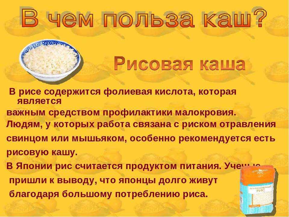 Сечка крупа польза и вред