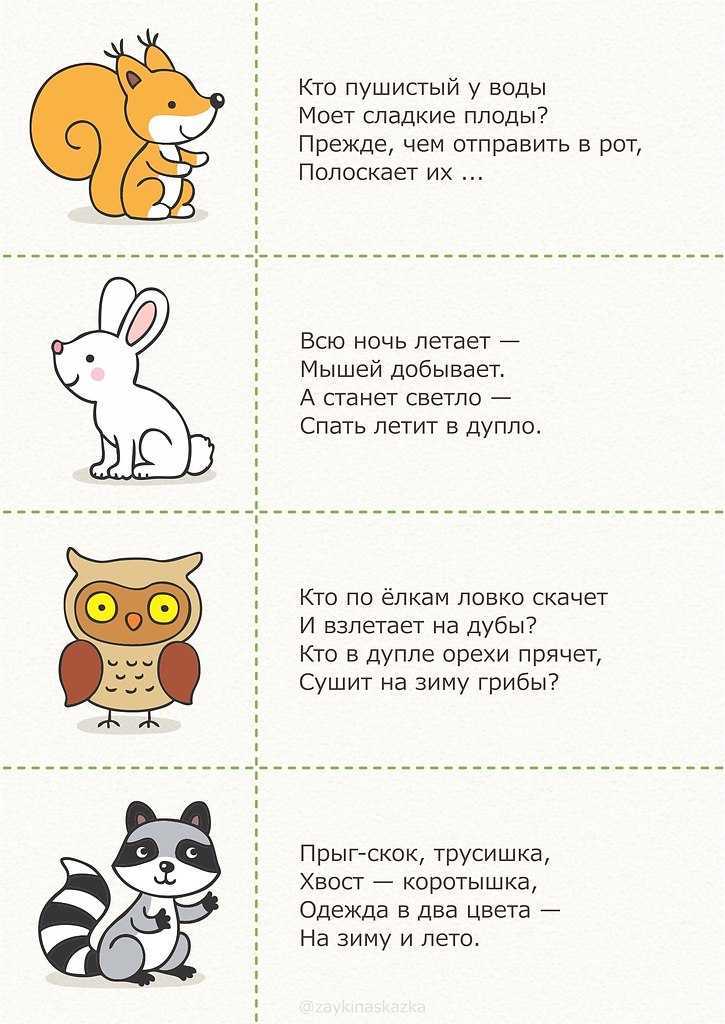 Загадки про змею. загадки про змею и ее разновидности