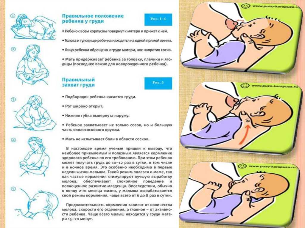 Секреты здоровья вашего ребенка: учимся, как правильно кормить новорожденного из бутылочки