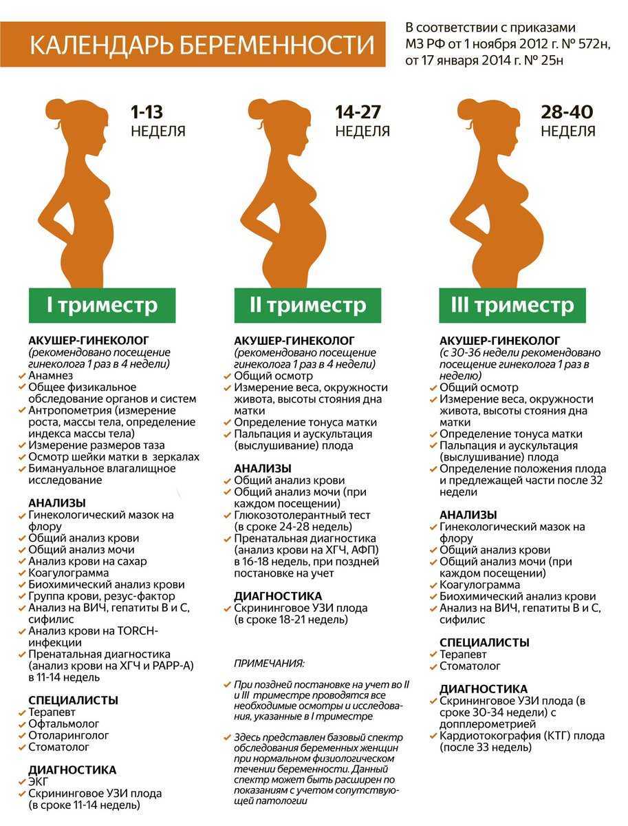 Спорт для беременных в 1, 2, 3 триместре, физические нагрузки | можно ли во время беременности заниматься спортом и гимнастикой