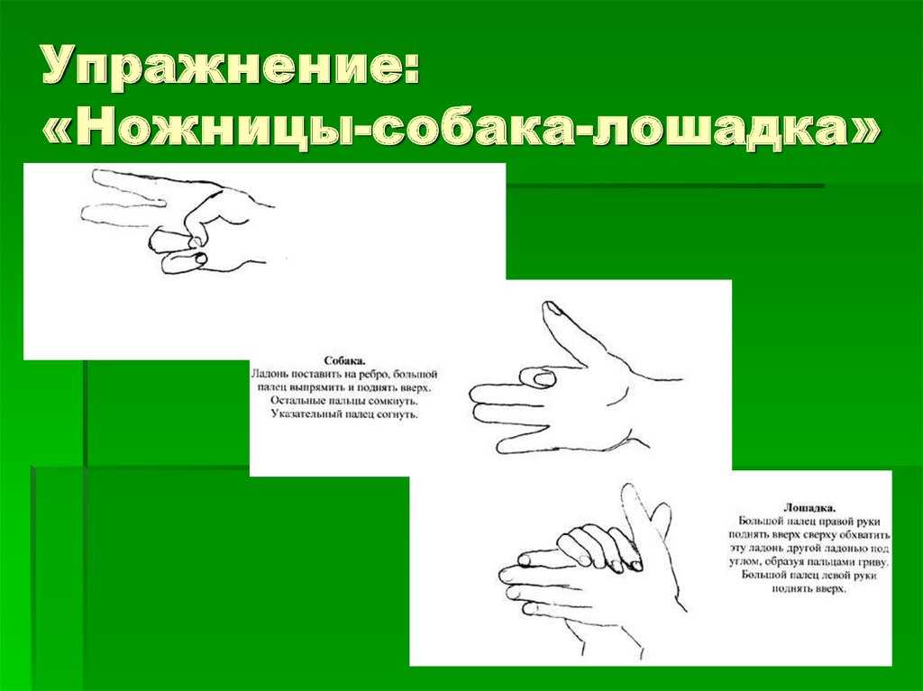 Нейрогимнастика для детей с овз | дошкольное образование  | современный урок