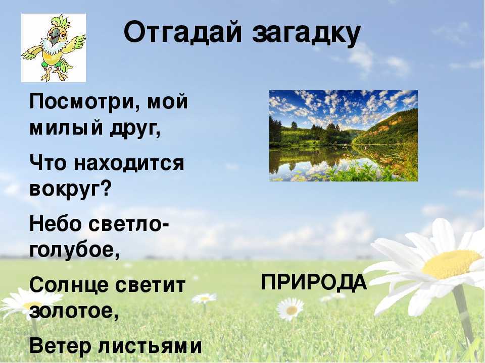 Загадки на тему лето для детей — 50 загадок