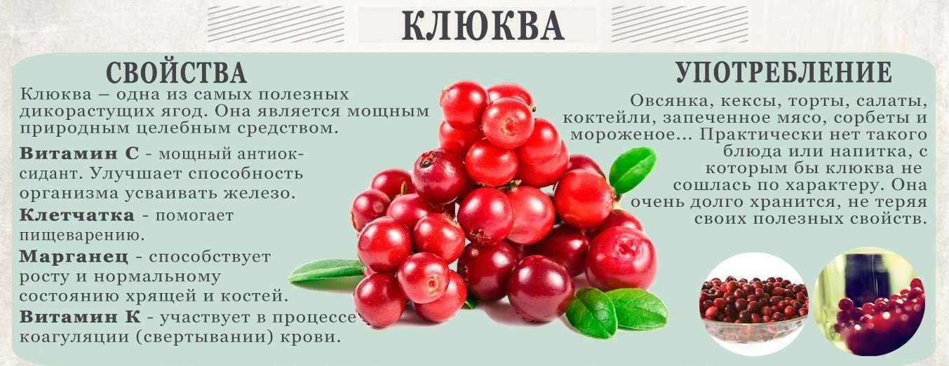 Как правильно приготовить клюквенный морс - рецепт