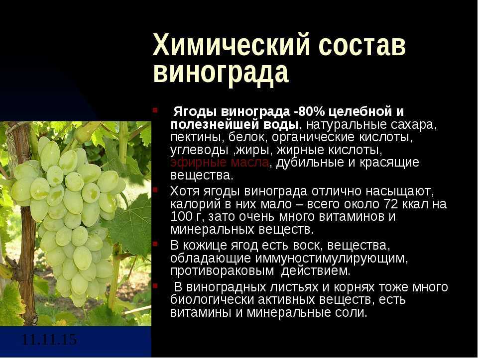 Мясное пюре для первого прикорма. с чего начать мясной прикорм?