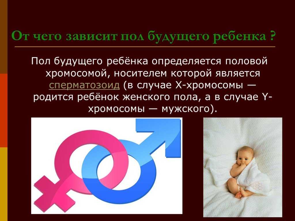 От чего зависит пол ребенка, от каких хромосом зависит генотип, можно ли повлиять на пол ребенка, народные методы
