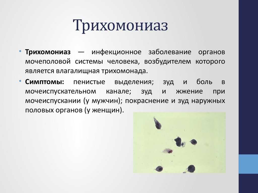 Выделения во время секса (белые, кровянистые, кровяные, обильные, творожистые)