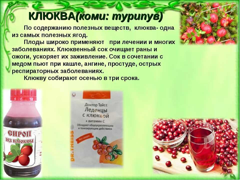 Клюквенный, брусничный, морс из калины – источники здоровья. полезные свойства, возможный вред и калорийность морсов из ягод - автор екатерина данилова - журнал женское мнение
