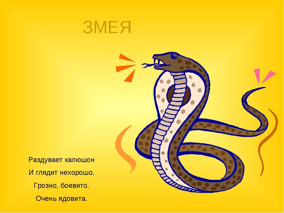 Со словом змея придумать загадку. загадки про змею. загадки про змея горыныча