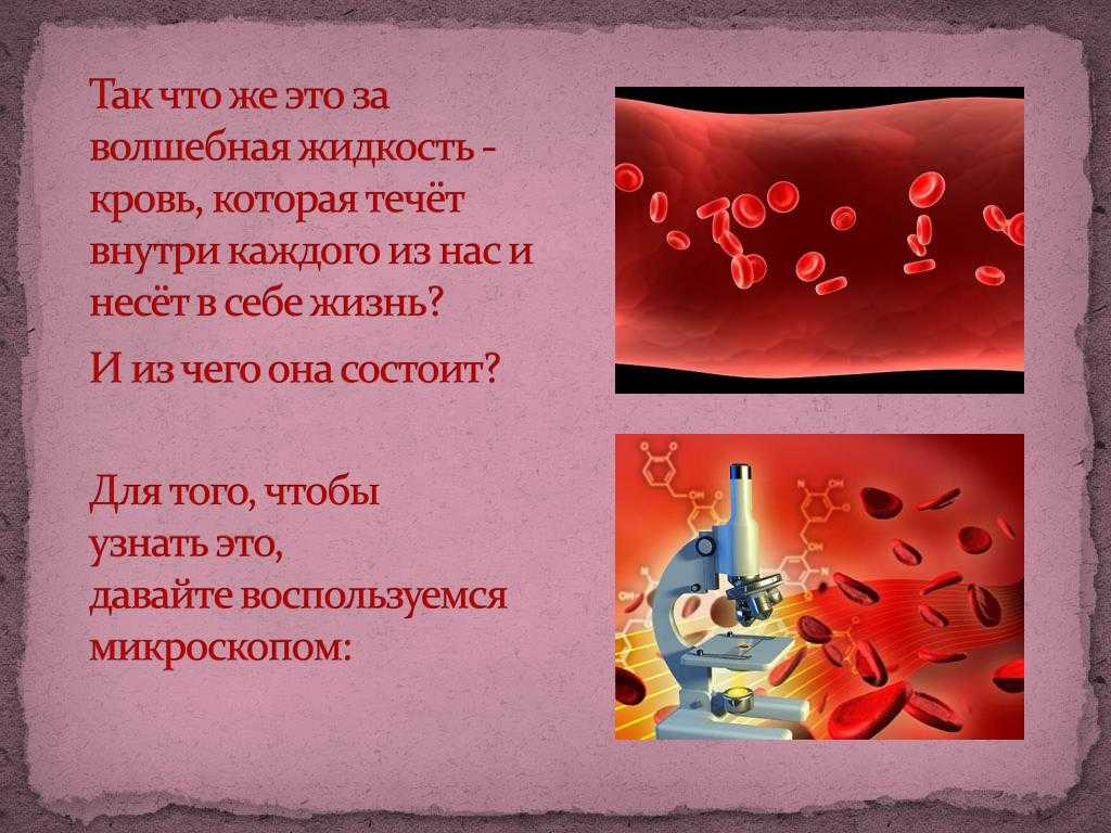 Загадка. голос тонок, нос долог, кто его убьет, тот свою кровь прольет?