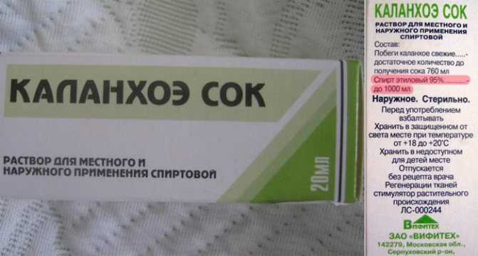 Каланхоэ грудничку: можно ли капать в нос?