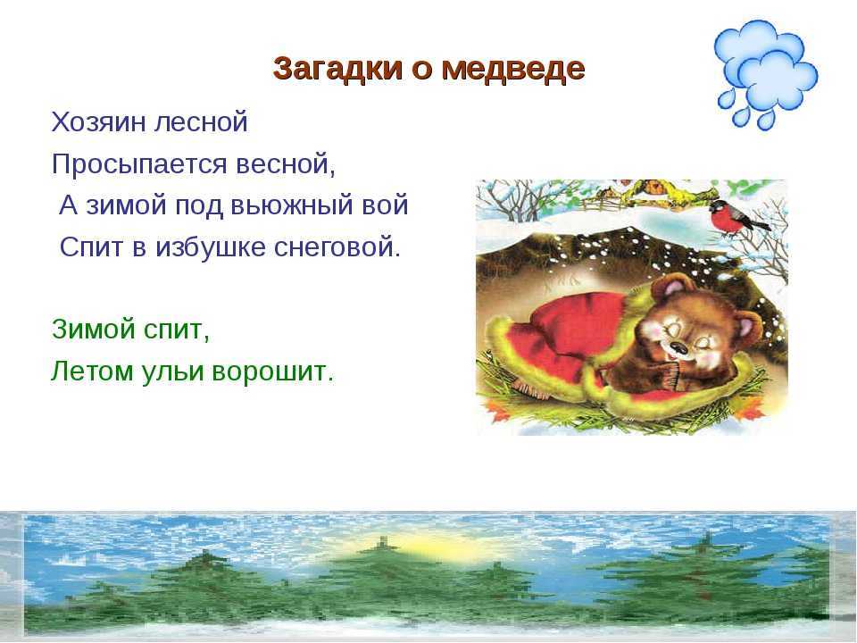 Сложная загадка про медведя. загадки про медведядля детей и взрослых