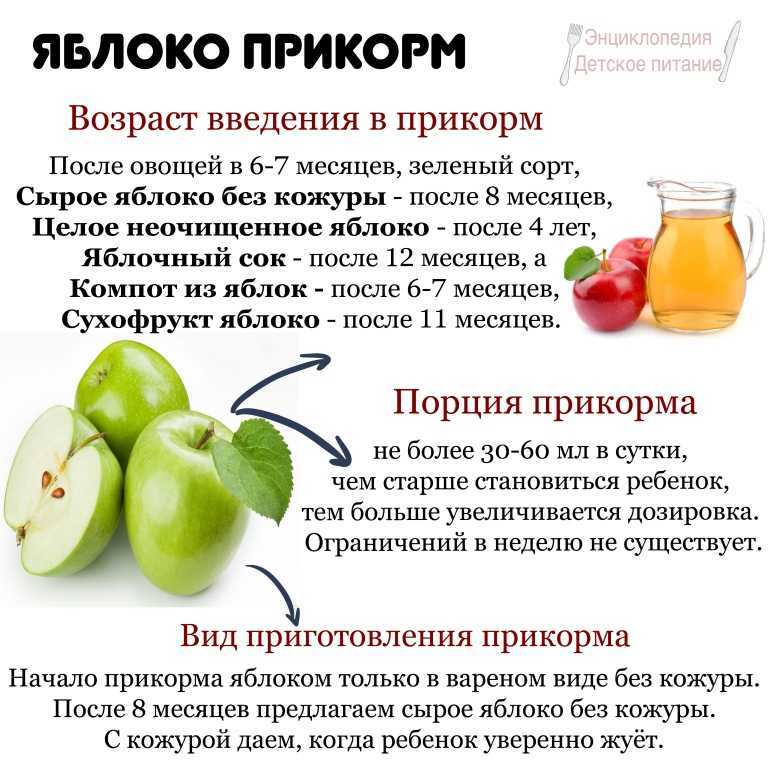 Первый прикорм при грудном вскармливании